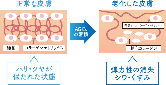 SBC MEDISPA ホワイトサプリメント飲む日焼け対策・透明感｜内服