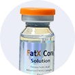 FatX Core イメージ