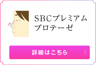SBCプレミアムソフトプロテーゼ