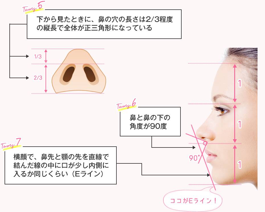 美鼻を作る7つの条件5～7
