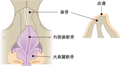 施術方法（鼻骨と軟骨の位置を確認）