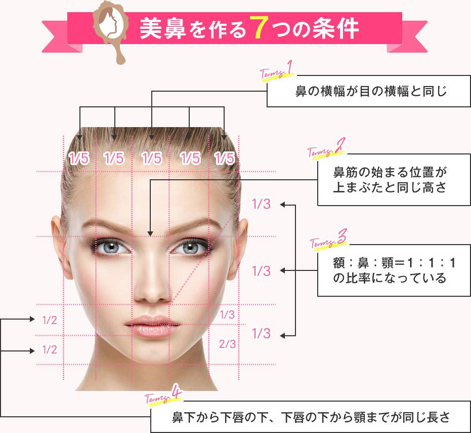 美鼻を作る7つの条件1~4