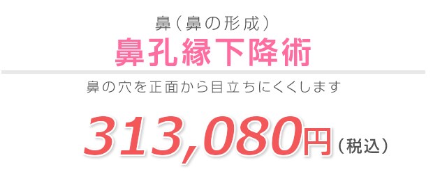 鼻孔縁下降術