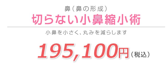 切らない小鼻縮小術