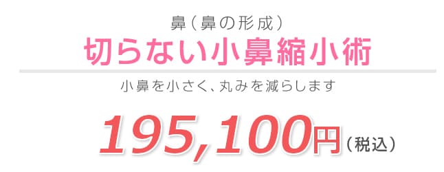 ない 小鼻 縮小 切ら