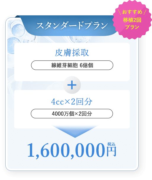 スタンダードプラン