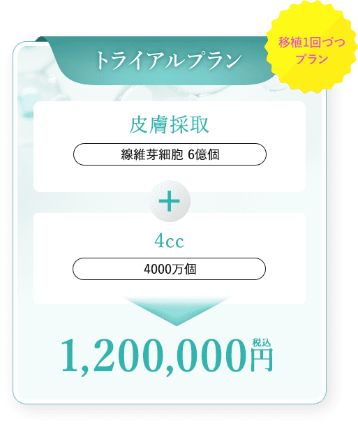 トライアルプラン