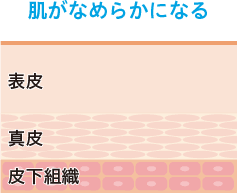 肌がなめらかになる