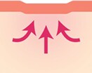 トライフィルプロの仕組み STEP5