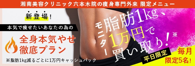 減量セットプラン
