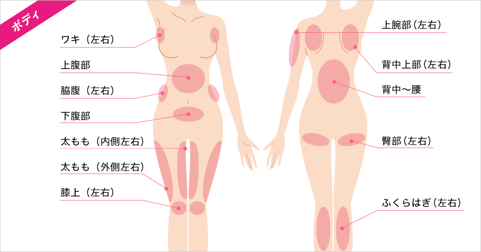 脂肪溶解注射 Bnls Neo 医療ダイエットなら湘南美容クリニック 公式