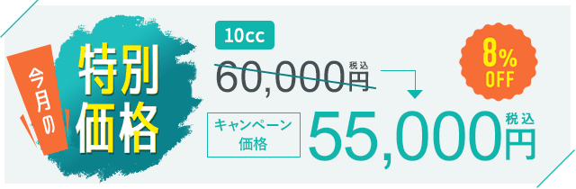 今月のキャンペーン