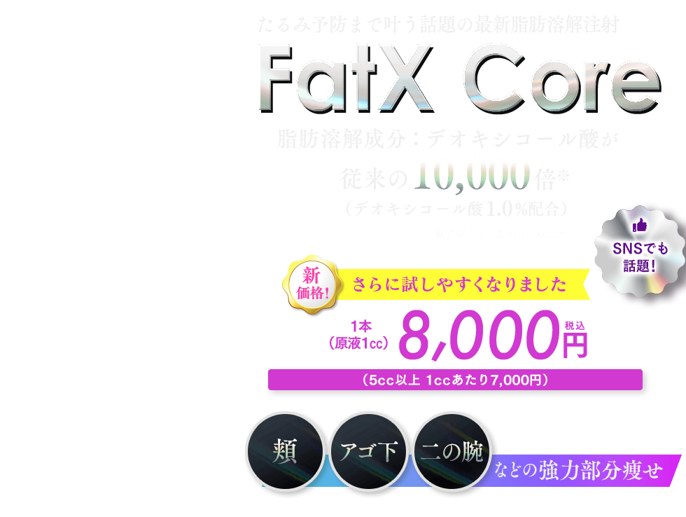 FatX Core