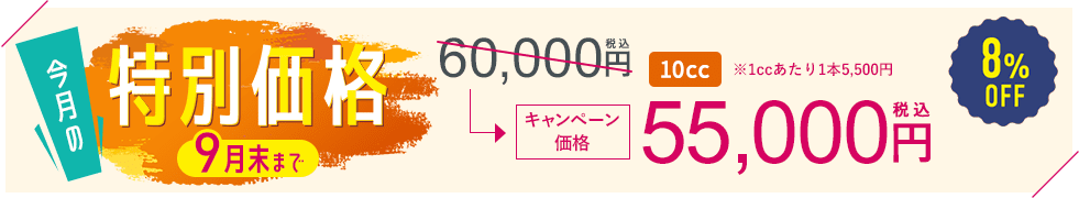 今月の特別価格