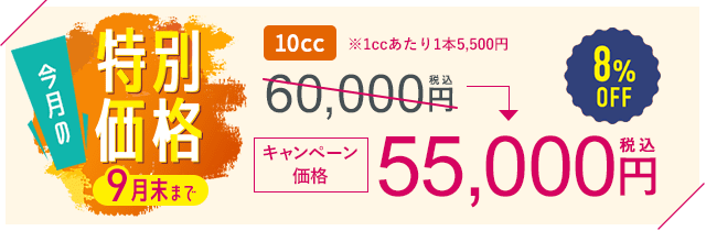 今月の特別価格