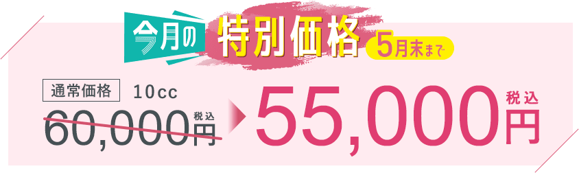 今月の特別価格 5月末まで