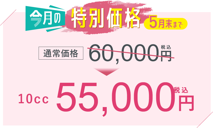 今月の特別価格 5月末まで