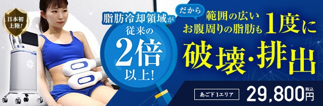クールスカルプティング&reg; エリート（クルスカダブル）