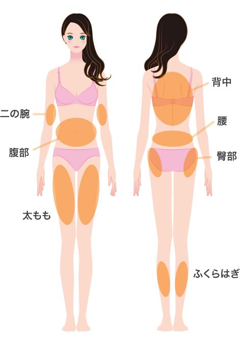 対応部位