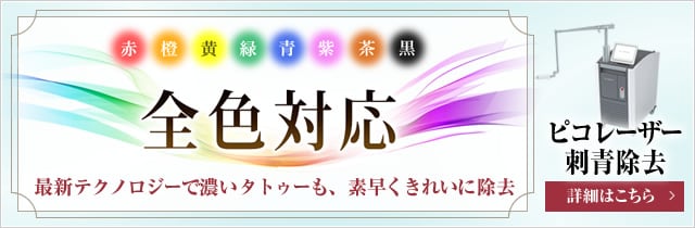 ピコレーザー刺青除去