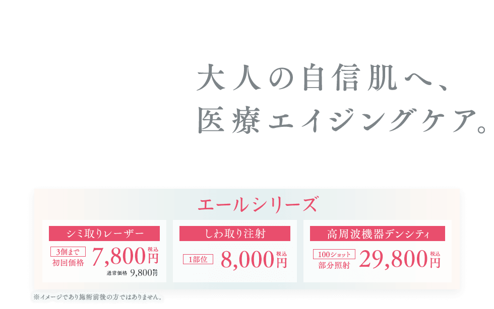 エールシリーズ
