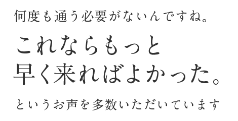 これならもっと早く来ればよかった。