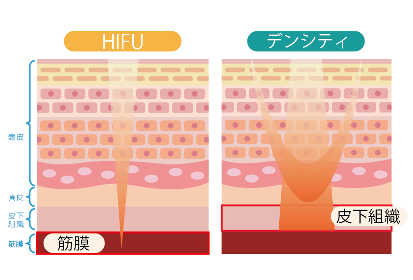 アプローチする層が違います！