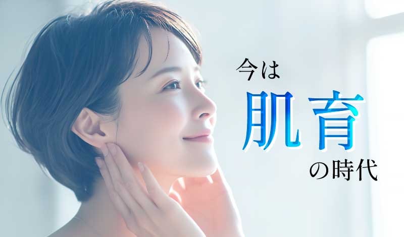 効果のポイント