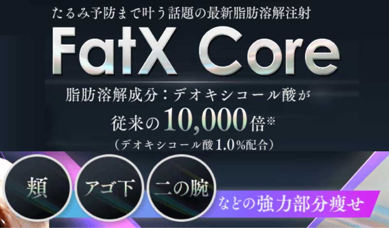 たるみ予防も叶う！最新の脂肪溶解注射「FatX Core」がお得に！！🉐