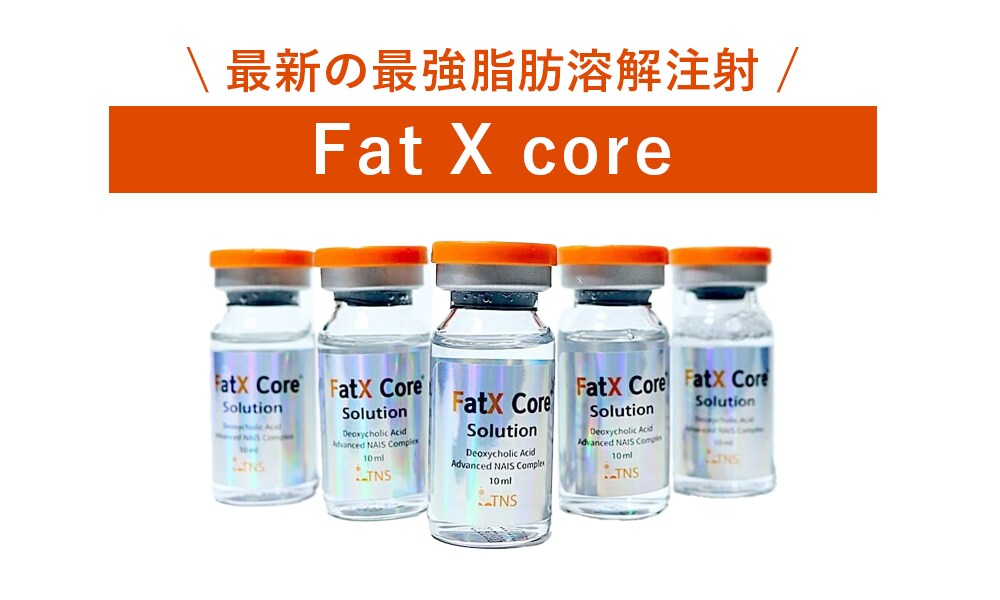 menu02. Fat X core