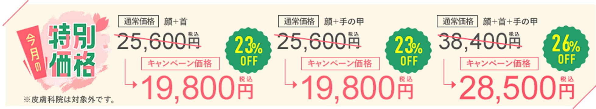 3月限定でフォトジェネシスがお安く受けられます！
