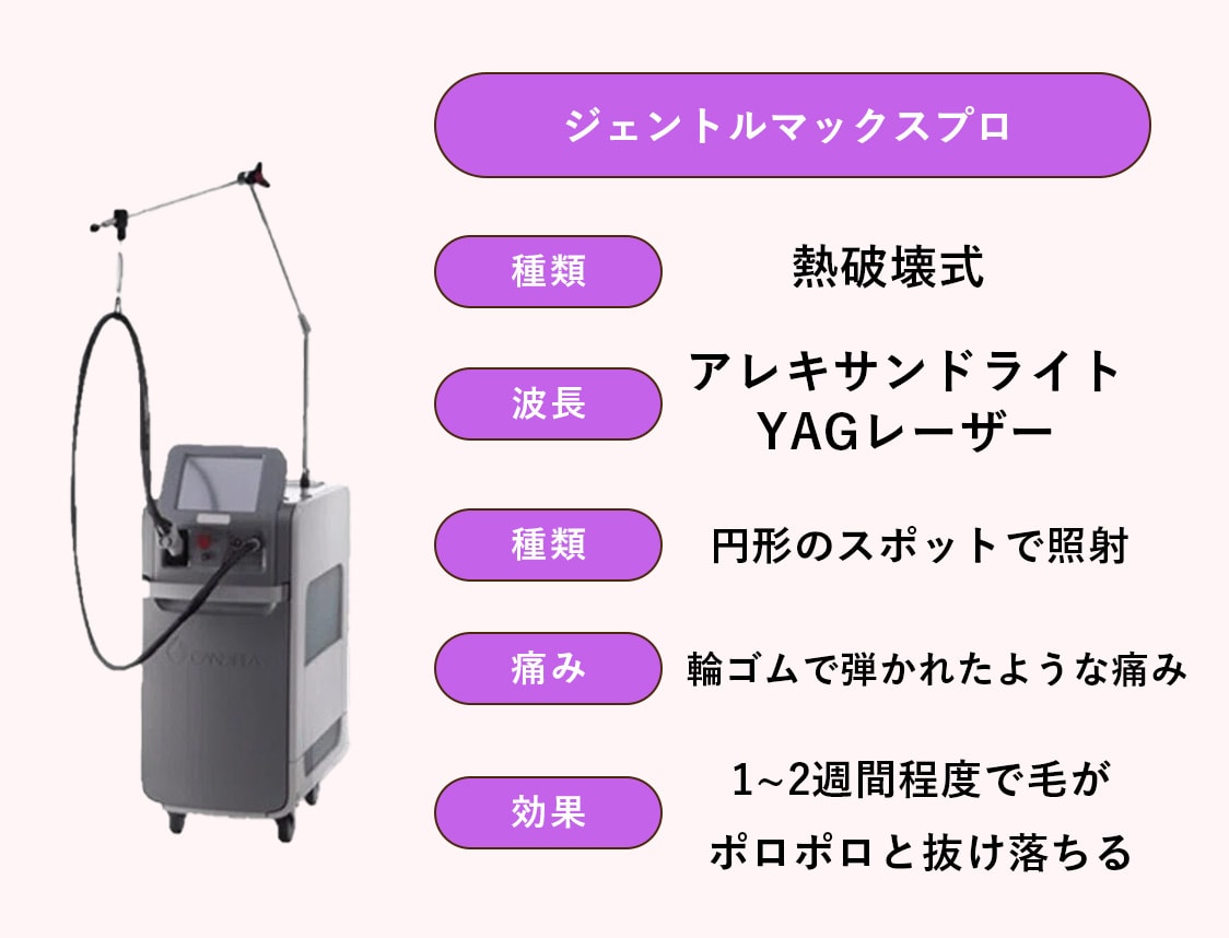 ジェントルマックスプロ