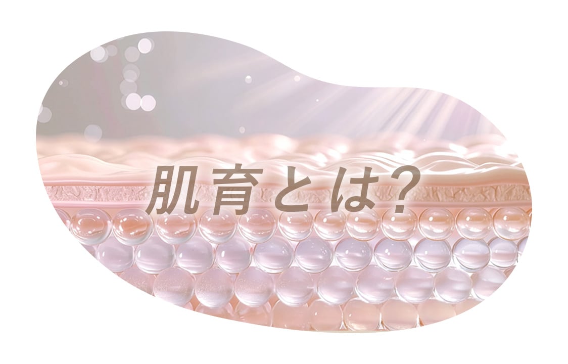 そもそも肌育とは？