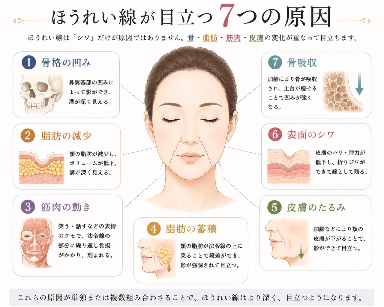 お肌の表面だけでなく、顔の深い層で起きている複雑な仕組みを解き明かす