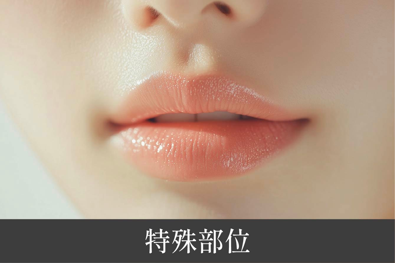 特殊部位