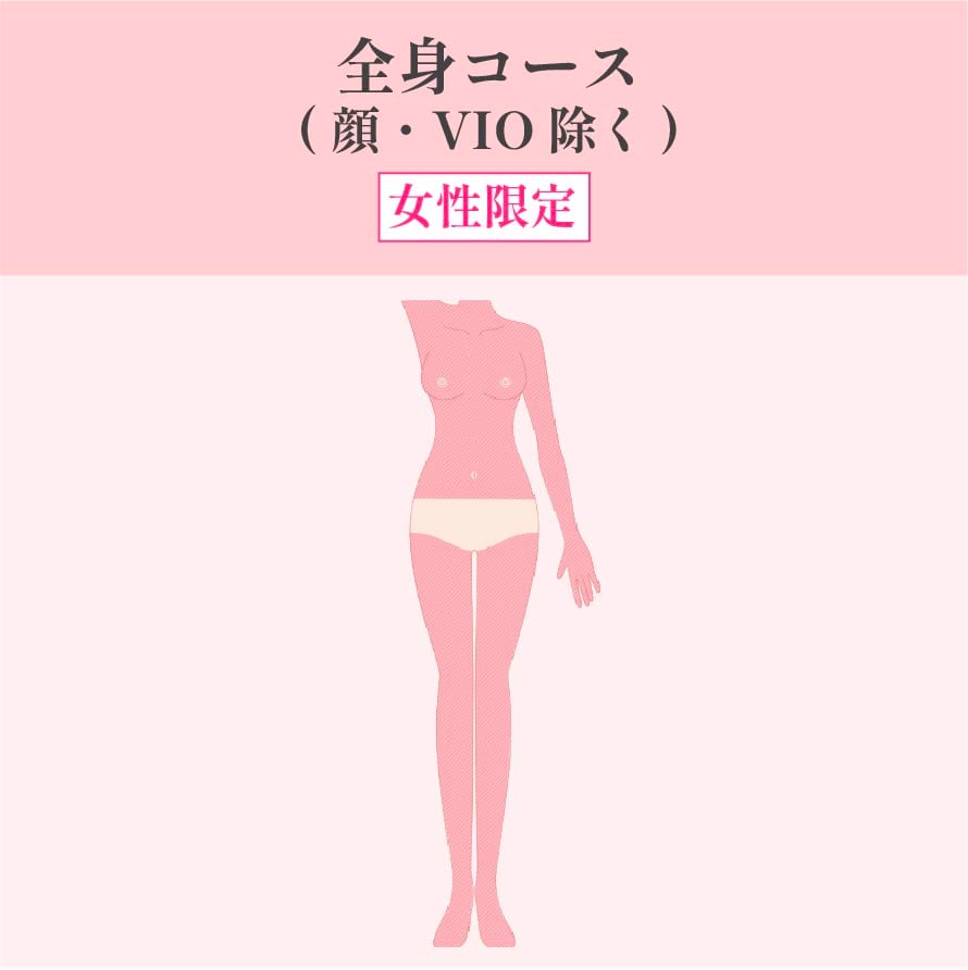 全身コース(顔・VIO除く)