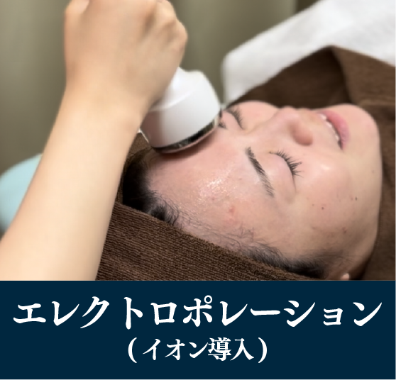 エレクトロポレーション(イオン導入)