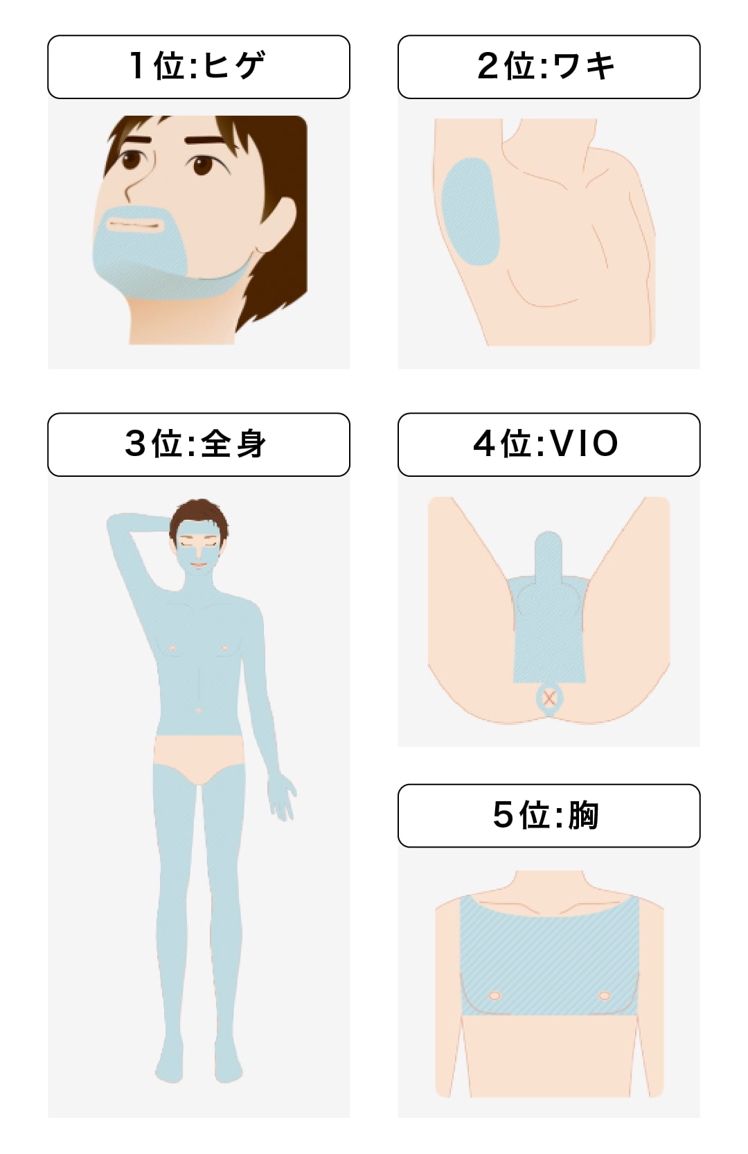 人気ランキングTOP5
