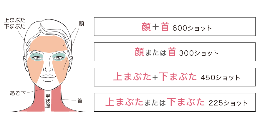 施術可能箇所