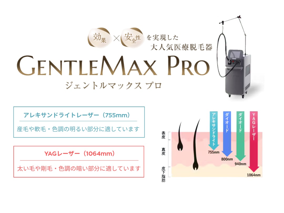POINT1：半永久的に毛がなくなる
