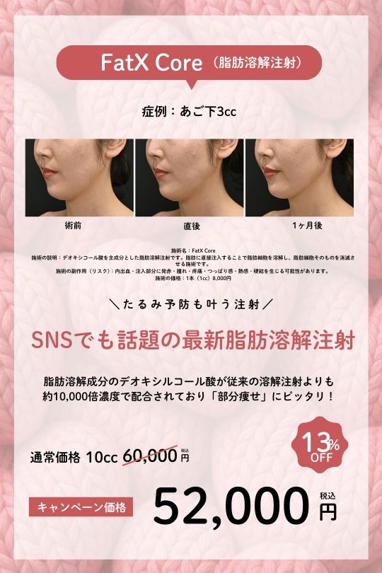 FatX Core（脂肪溶解注射）