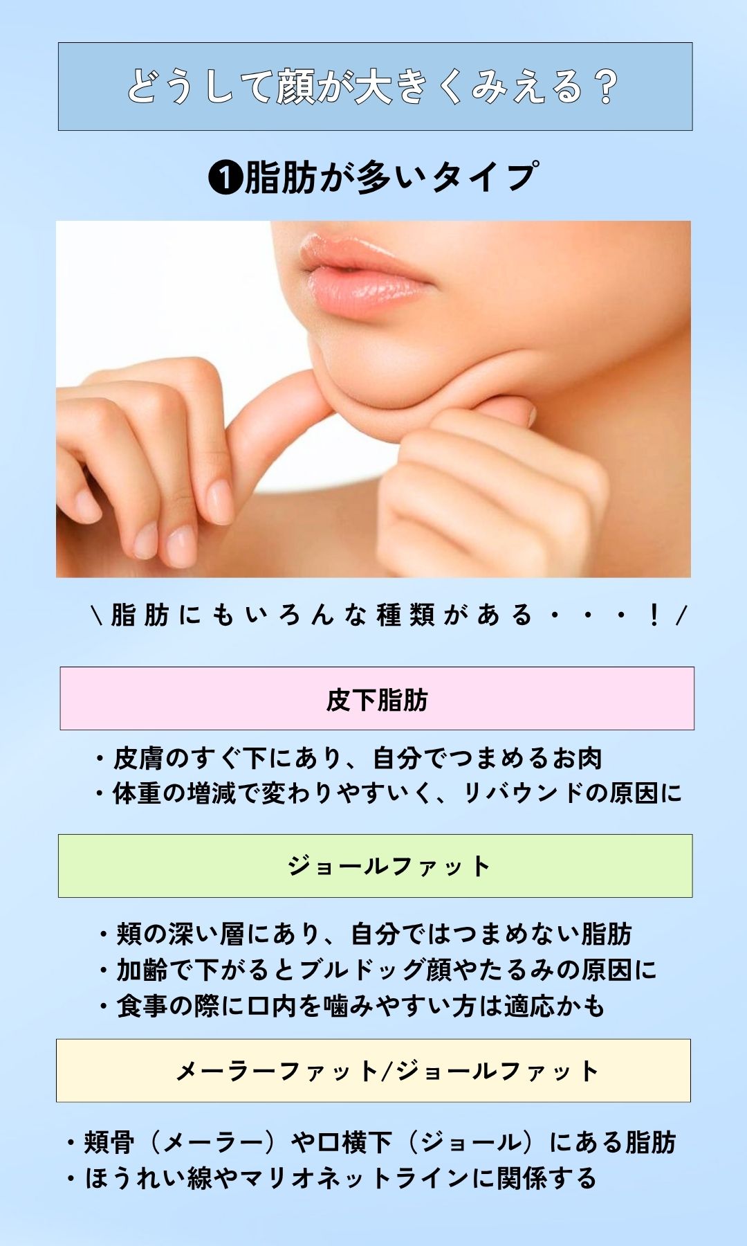❶顔にある脂肪量が多い