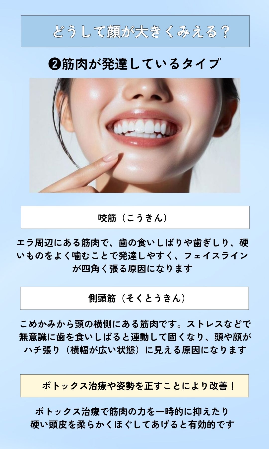 ❷筋肉の発達