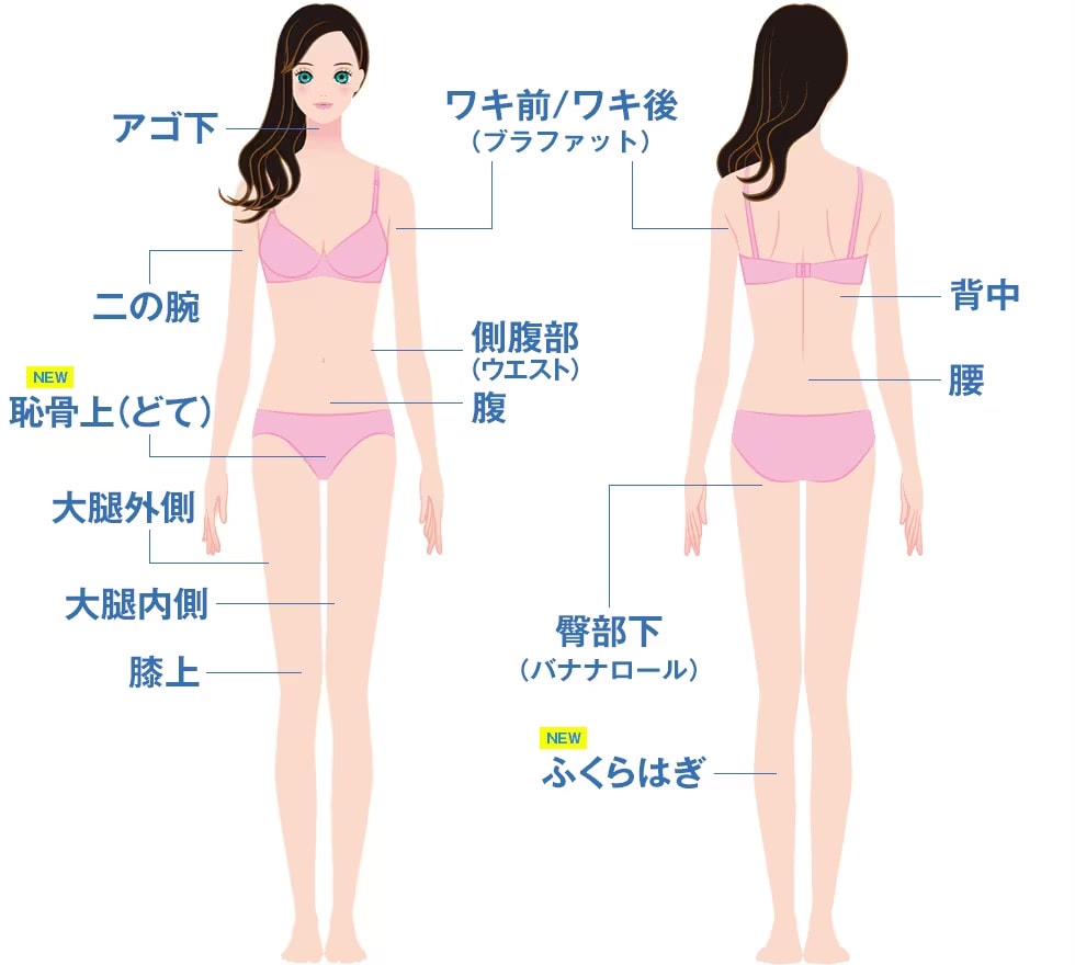 対象部位