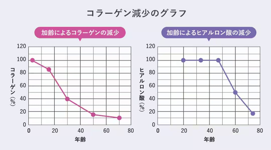 コラーゲンってどう減っていくの?