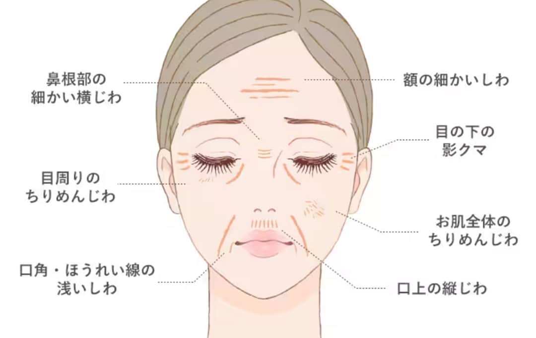 施術可能部位