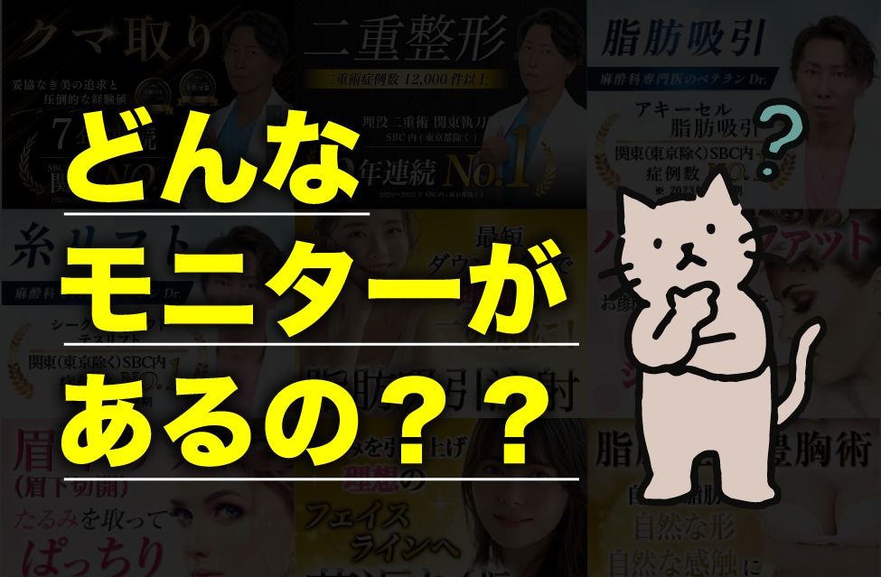 どんなモニターがあるの？