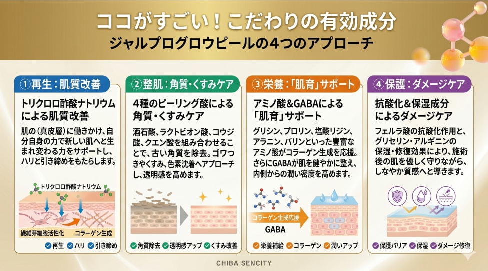 4つの有効成分による多角的なアプローチ