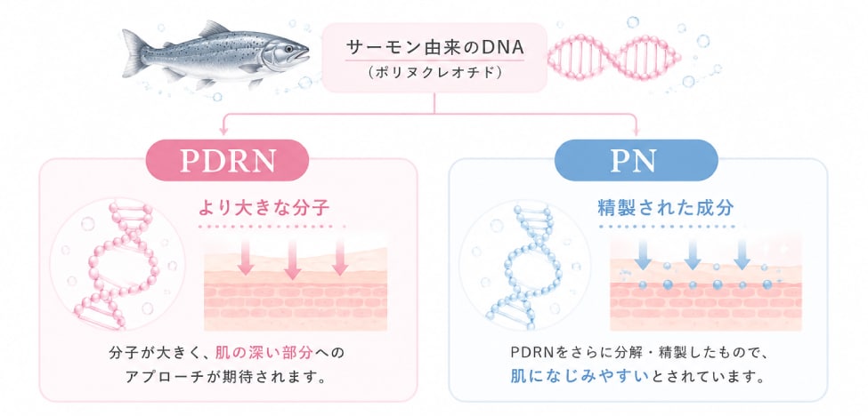 同じサーモン由来、でも特徴が違います
