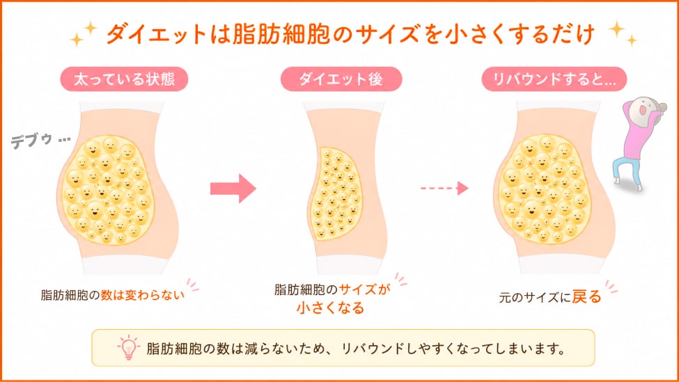 ダイエットはお肉の「サイズ」を小さくするだけ